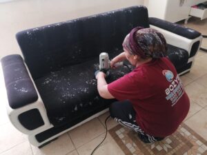 Adana  çukurova kullanılan ev temizliği şirketleri